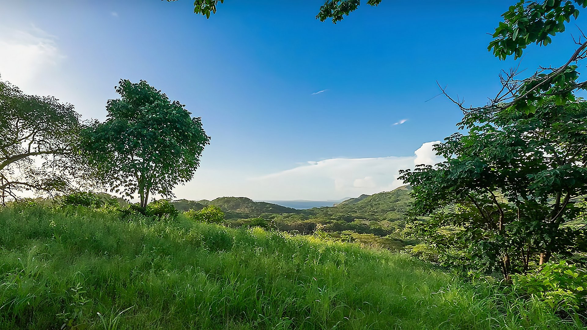 12399-Le terrain en vente à Playa Real au Costa Rica