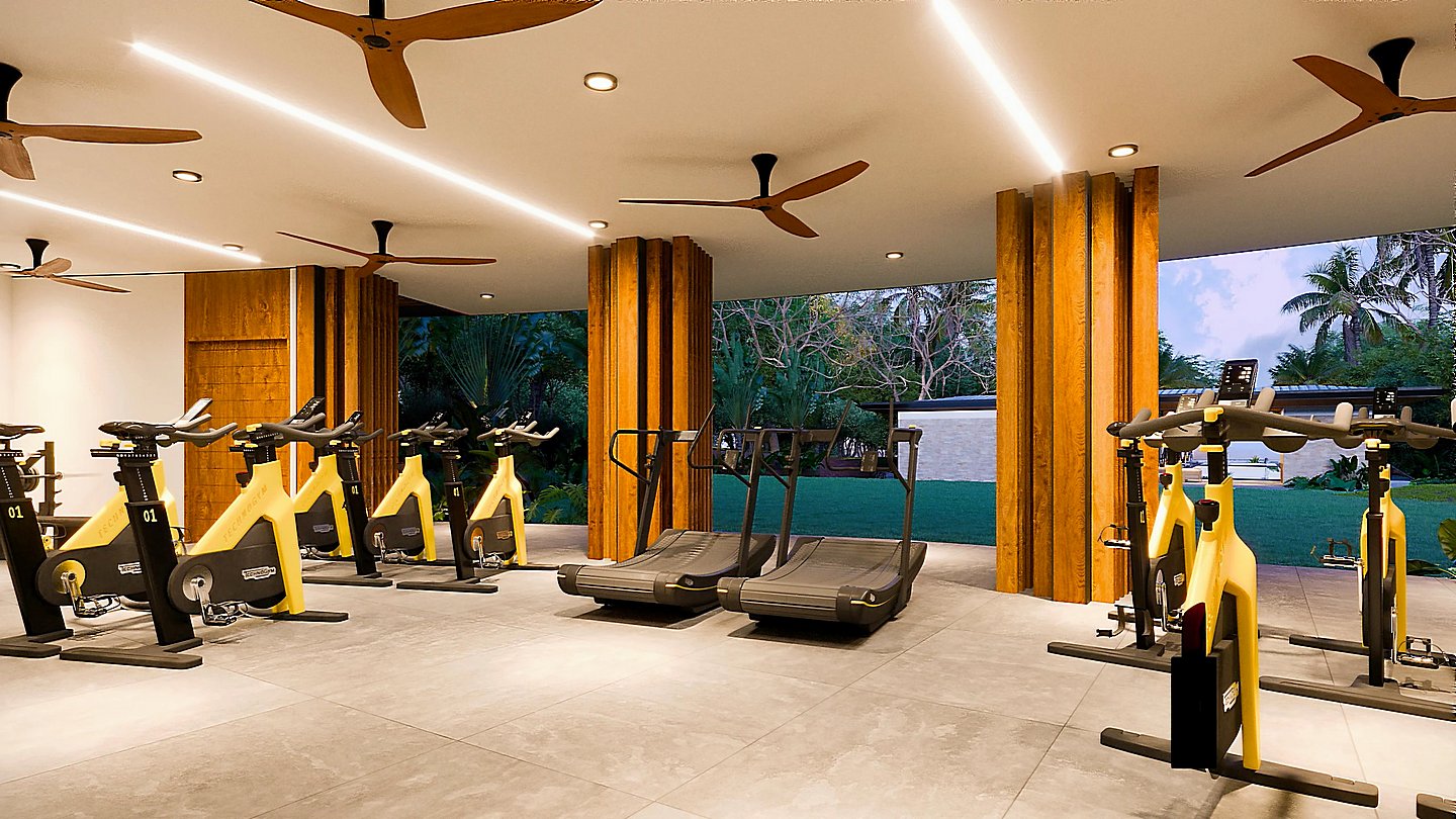 12424-L'espace fitness du club de plage