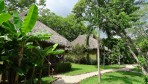 2206-La végétation tropicale entre les villas