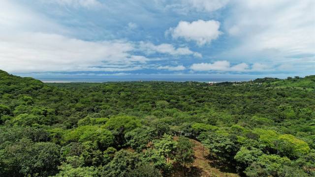 A proximité de Tamarindo, attrayant terrain en vente avec vue mer !